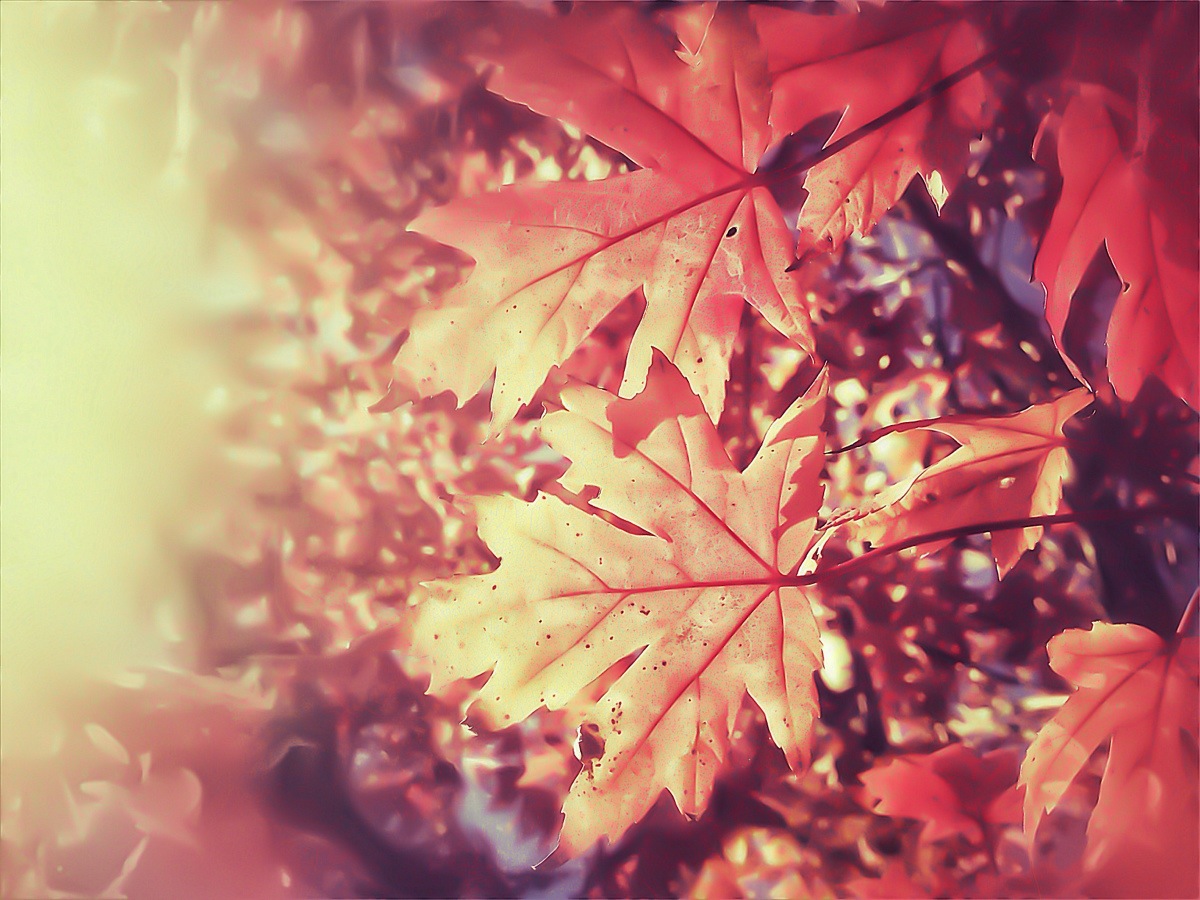 20111026-175846.jpg
